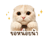847023560