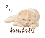847023568