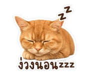 847023590