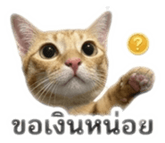 847023618