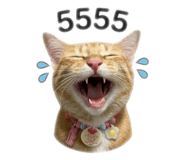 847023620