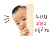 847028333