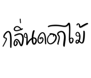 847028537