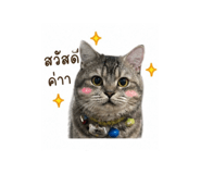 847028905
