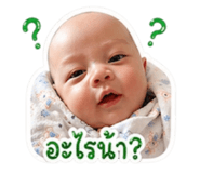 847029323