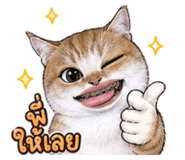 847036970