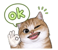 847036971