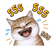 847036972