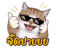 847036975