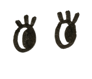 847040883
