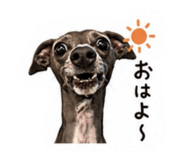 847042194