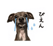 847042208