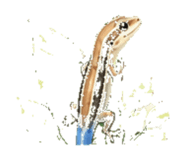 847048748