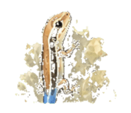 847048771