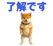 847052161