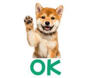 847052162
