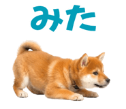 847052163