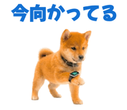 847052165