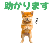 847052170