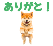 847052171