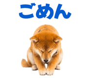 847052172