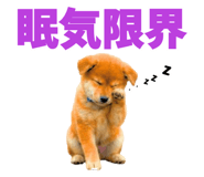 847052174