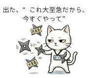 847053123