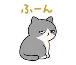 847053716