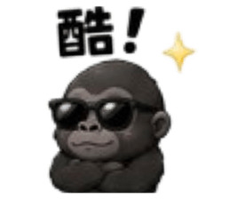 847054449