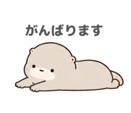 847055579