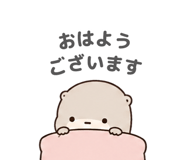 847055587