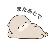 847055593