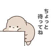 847055597