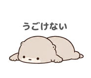 847055601