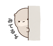 847055602