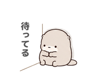 847055604