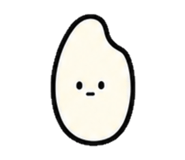 847055978