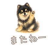 847056074