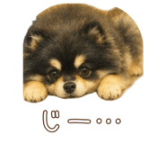 847056088
