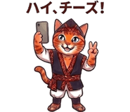 847056988