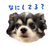 847064495