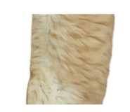 847066157