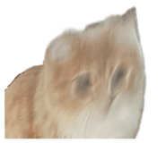 847066171