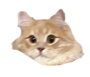 847066172