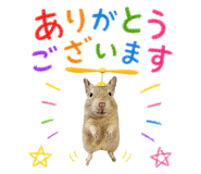 847066934