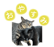 847066962
