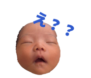 847069594