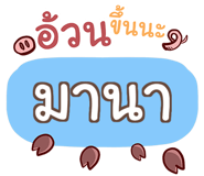 847076003