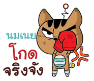 847076854