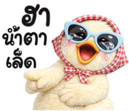 มาดาม เป็ดน้อย รูปที่ 14